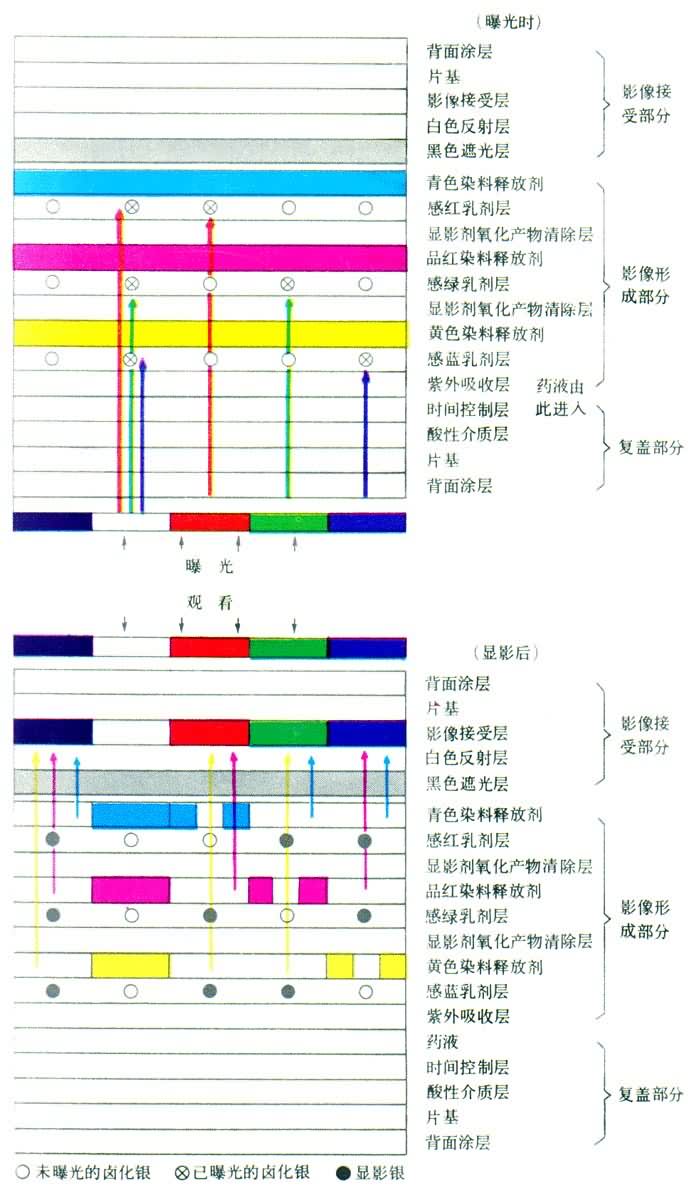 ����Ⱦ���ͷż���һ�β�ɫ������Ͻṹʾ��ͼ