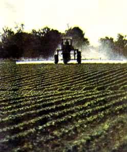 �������ݼ����ڴ�ѿǰ����