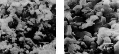 ͼ1  ����п��750����´���ǰ��羵��Ƭ  a����ǰ  b������