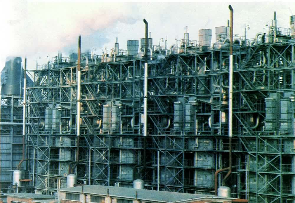 �����ѽ�¯