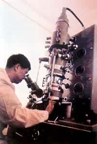 �������ʹ߻����о��ĵ�����΢��