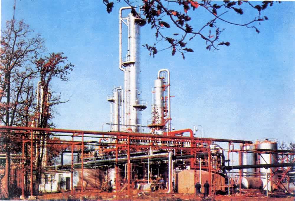 ��ȩ����