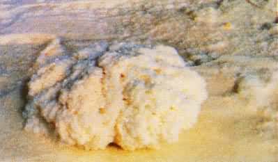 �й�����Һ����ο�--�ຣʡ������κ������λ�