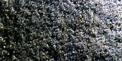 ��ѹ����ϩ��Ĥ����