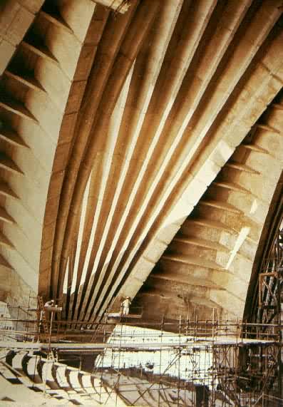 �û�����֬��ճ�ӵĻ�����Ԥ�Ƽ�����İĴ�����Ϥ����Ժ