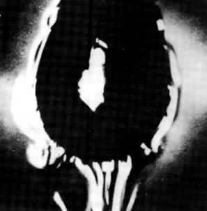 ͼ1  ˮ�����������������еı���