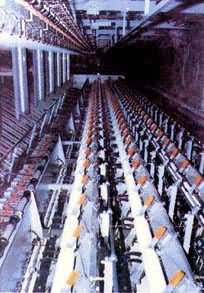 ���ڵ���˿��������