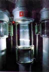 ���ڷ�˿��