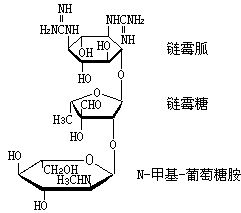 ��ʽ ����