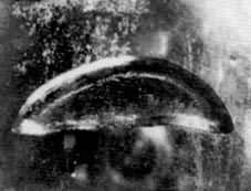 ������״�Ĵ�����  ȹ��