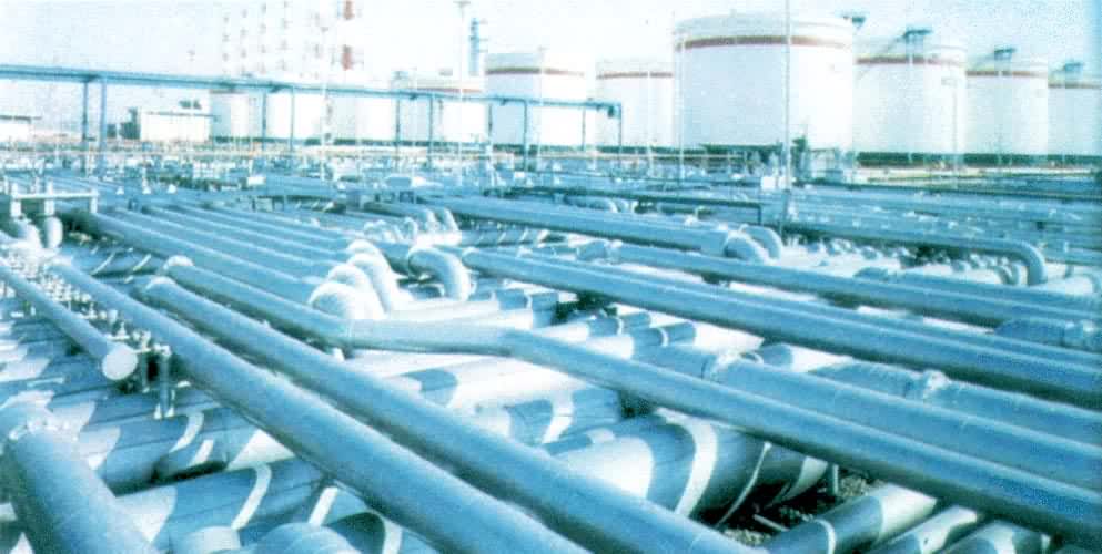 ʯ����������