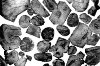 ͼ3  ˮ��������΢�ṹ