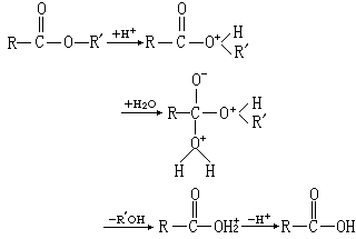 ��ʽ ����