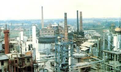 ̼����麟��⾰