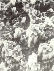 ̼��ά������֬���ϲ��ϣ�500���羵ͼ  δ�����洦������ά����֬ճ��ϲ�