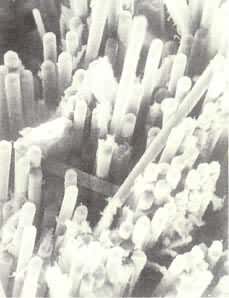 ̼��ά������֬���ϲ��ϣ�500���羵ͼ  �������洦������ά����֬ճ��Ϻ�