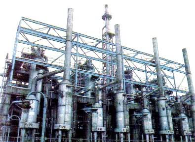 ��Ȼ�����ѽ�����Ȳ¯