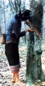 ��ȡ��Ȼ��