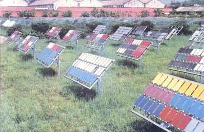 Ϳ����Ȼ�ϻ�ʵ����ɹ��