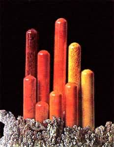 �����ӡ�����������������