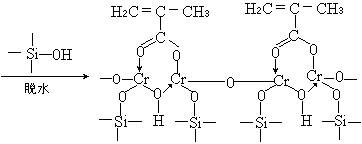 ��ʽ ����