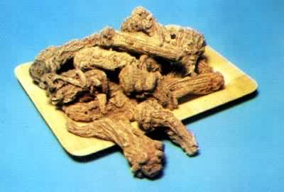 ��ҩ��  ���׵���