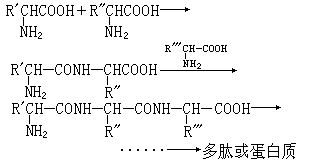 ��ʽ ����