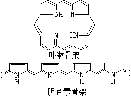 ��ʽ ����