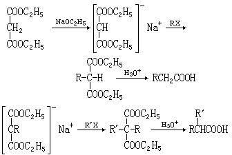 ��ʽ ����