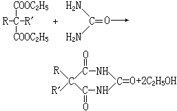 ��ʽ ����