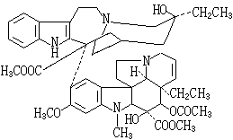 ��ʽ ����