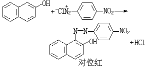 ��ʽ ����