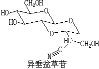 ��ʽ ����