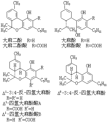 ��ʽ ����