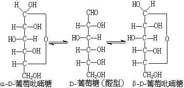 ��ʽ ����