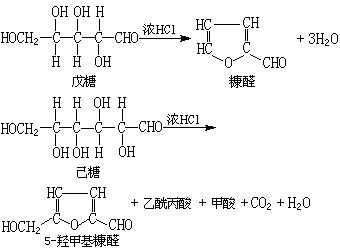 ��ʽ ����