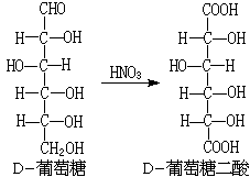 ��ʽ ����