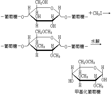 ��ʽ ����