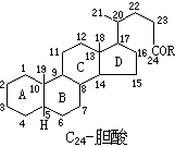 ��ʽ ����