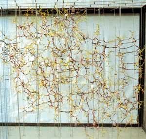 �컨�۵��׷��ӽṹģ��