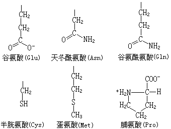 ��ʽ ����