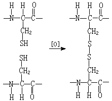 ��ʽ ����