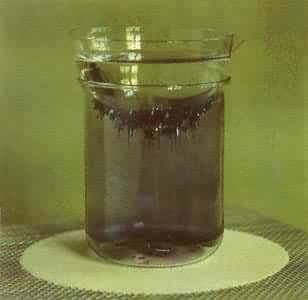 ͼ  �������