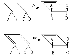 ��ʽ ����