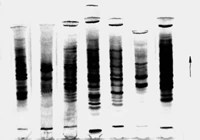 ͼ2 ������ù����״������Ӿͼ��