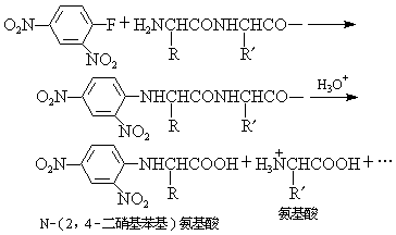 ��ʽ ����