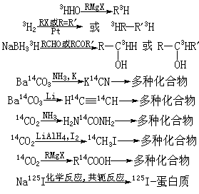 ��ʽ ����