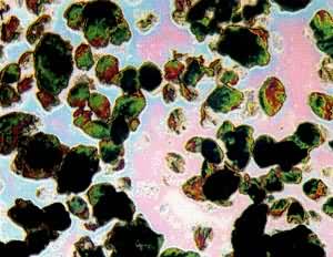 ͼ ZSM-5�ͷ���ɸ������ò(�Ŵ�2000��)