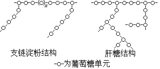 ��ʽ ����