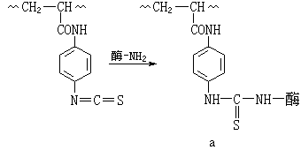 ��ʽ ����